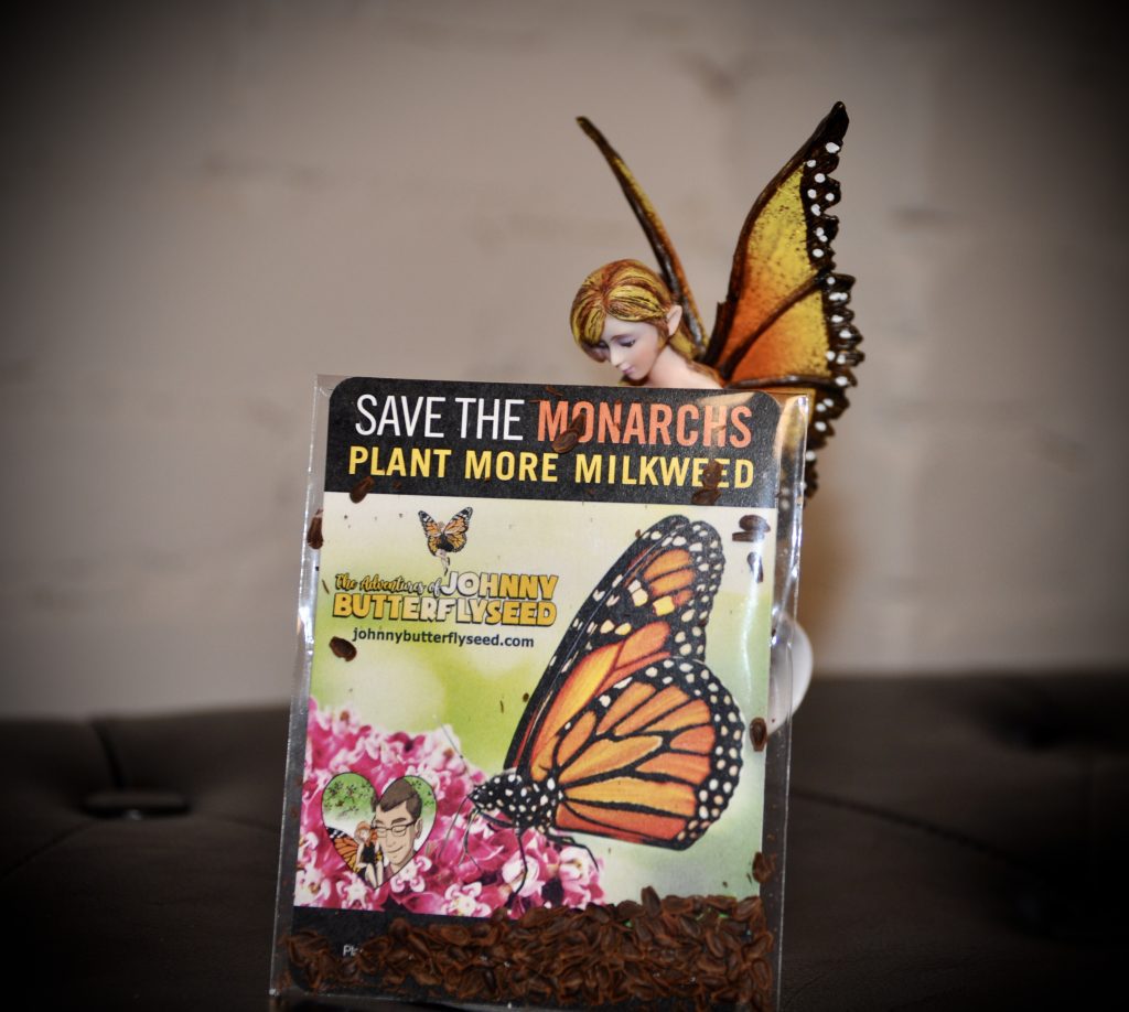 Butterfly Milkweed Seed Pack