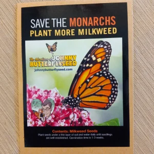 50 Butterfly Milkweed Seeds (Asclepias Tuberosa) for 2023 - Free Shipping