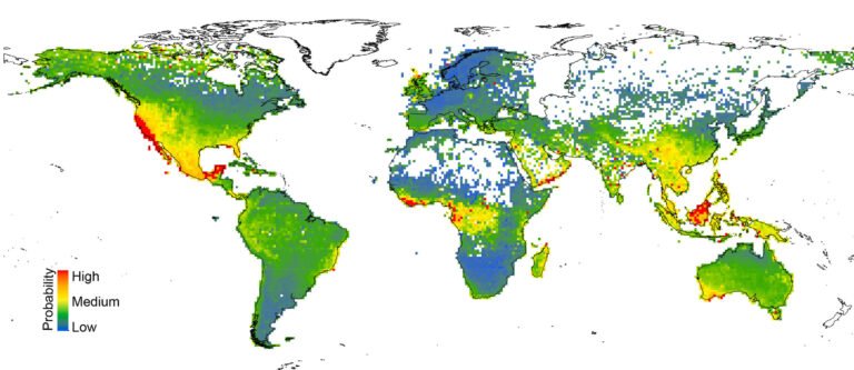 Plant Species Localization and Distribution Categorizations