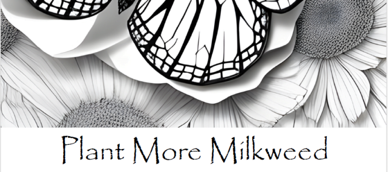 Monarch Butterfly Printable Coloring Pages