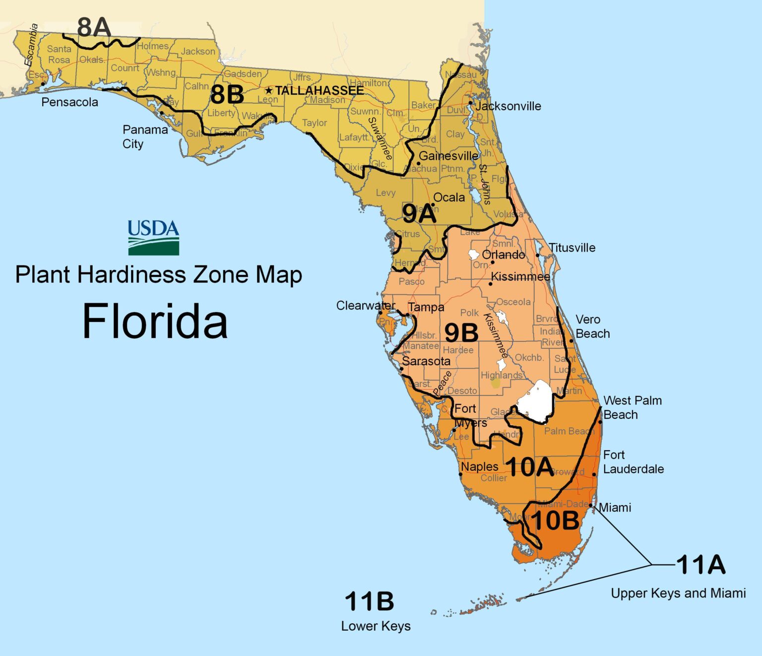 USDA Plant Hardiness Zones of Florida Johnny Butterflyseed