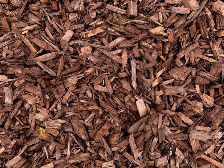 Should I Use Mulch in my Butterfly Garden?