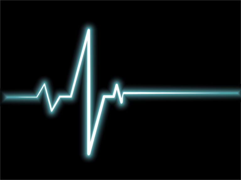 How Long Does a Monarch Butterfly Live?