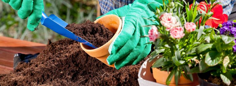 Milkweed Mass Plantings: A Monarch Festival Movement to Revitalize Habitats