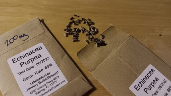 Butterfly Milkweed Seed Half Ounce Bulk Pack (Asclepias Tuberosa) - Image 11