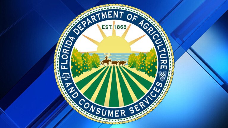 Johnny Butterflyseed Becomes a Licensed Florida Seed Dealer, Committed to Restoring Native Ecology