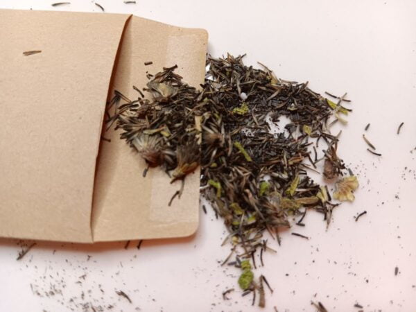 500 Black-Eyed Susan Seeds (Rudbeckia Hirta) - Image 7