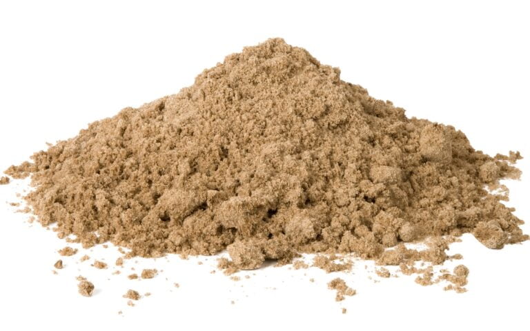 Botanical Definition: Silicicola