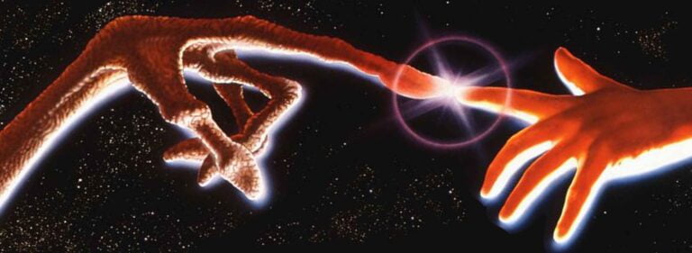 What Happens if You Touch a Monarch Butterfly’s chrysalis?