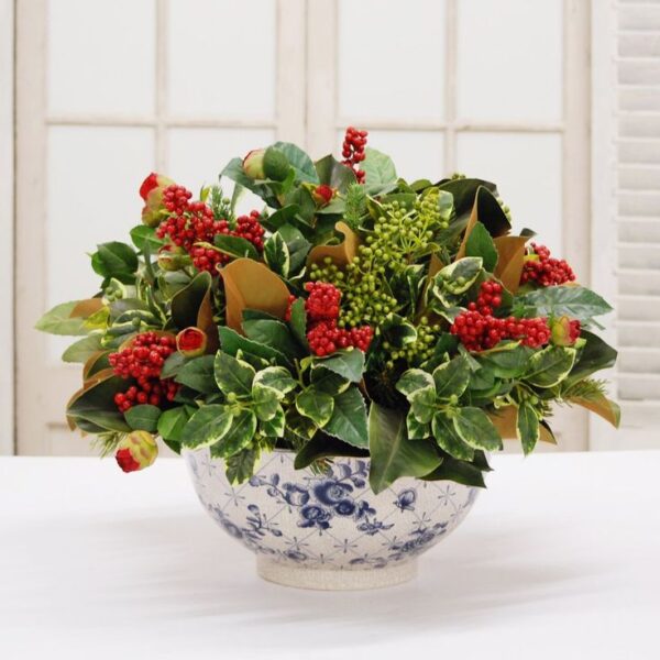 20 Florida-Native Dahoon Holly Seeds Ilex Cassine - US Southeast - Image 3