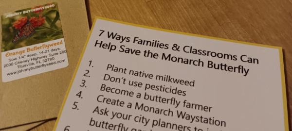 Monarch Butterfly Lifecycle Card (Single) - Image 2